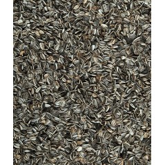 Menu Nature Sunflower seeds 7,5kg - Graines de tournesol entières pour oiseaux de la nature à 18,15 € - Versele-Laga - 464808...