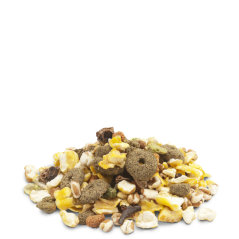 Crispy Snack Popcorn 1,75kg - Délicieux snack très léger pour lapins et rongeurs à 6,90 € - Versele-Laga - 461731 - Crispy