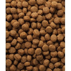 Classic Puppy 10kg - Toutes races à 20,45 € - Versele-Laga - 438014 - Classic