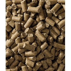 Cavalor SPORT - Action Pellet 20kg - Granulé sport de base pour des efforts sportifs de récréation à 15,55 € - Versele-Laga -...