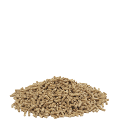 Country's Best SHOW 3 Pellet 20kg - Granulé (2mm) d'entretien dès la 13ème semaine à 16,20 € - Versele-Laga - 451029 - Countr...