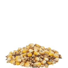GRA-MIX Poule - V.Laga - céréales avec maïs entier et graines de tournesol