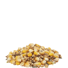 Country's Best GRA-MIX Mélange Poules 4kg - Mélange de céréales avec du maïs entier et graines de tournesol à 4,70 € - Versel...