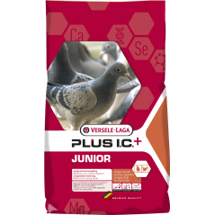 Plus I.C.⁺ Junior 20kg - Mélange complet pour jeunes pigeons à 21,55 € - Versele-Laga - 411033 - Plus