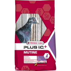 Plus I.C.⁺ Mutine 20kg - Mélange complet de mue pour un changement de plumage parfait 411057 Versele-Laga 21,65 € Ornibird