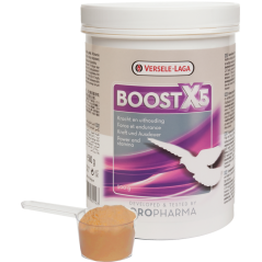 Oropharma Boost X5 500gr - Mélange énergétique, support des muscles en poudre - pigeons à 21,45 € - Versele-Laga - 460116 - O...