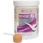 Oropharma Boost X5 500gr - Mélange énergétique, support des muscles en poudre - pigeons 460116 Versele-Laga 21,45 € Ornibird