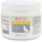 Oropharma Recovery Caps 350 capsules - Capsules de récupération - pigeons 460123 Versele-Laga 31,45 € Ornibird