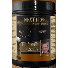 Top Ampul Muscles 16 pcs - NextLevel à 64,25 € - NextLevel - 18003 - Complément Alimentaire