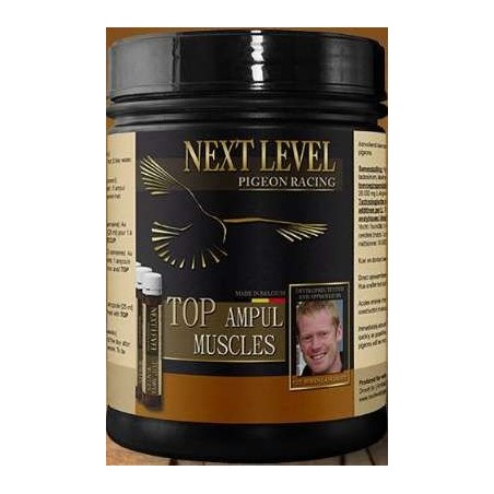 Top Ampul Muscles 16 pcs - NextLevel à 64,25 € - NextLevel - 18003 - Complément Alimentaire