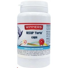 Recup Forte Caps Récuperation Après Un Exercise Physique Intense 180caps - Winners 81201 Winners 21,40 € Ornibird