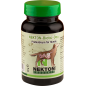 Nekton-Biotic-Dog 40gr - Probiotique Pour Chien - Nekton