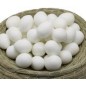 Oeuf de Canaris en plastique solide 50pcs