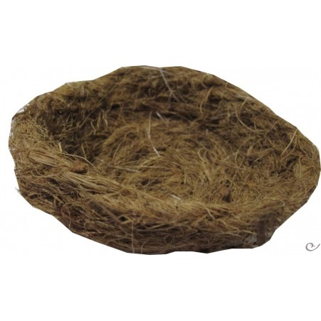 Nest in coconut 9cm