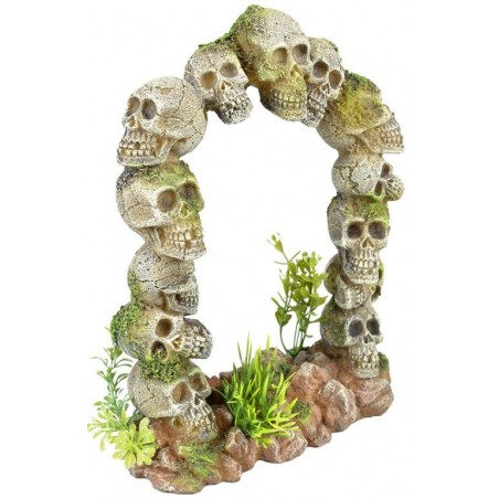 Porte Tête de Mort 18x8,5x23,5cm - Duvo+ 234/465004 Duvo + 34,45 € Ornibird