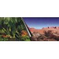 Poster fond d'aquarium jungle et dessert 80x40cm - Aqua Della