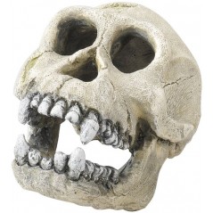 Chimpanzé 16cm - Aqua Della à 20,45 € - Aqua Della - 236/104316 - Décoration artificielle