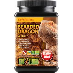 Exo Bearded Dragon Adult 250gr - Exo Terra à 12,95 € - Exo Terra - 33/PT3217 - Lézards