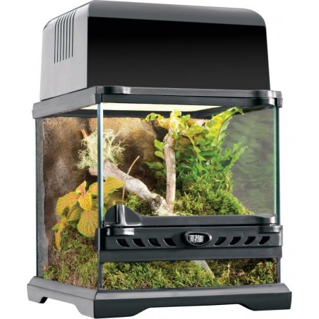 Exo Terrarium (arrière-plan inclus) 20x20x20cm - Exo Terra à 72,95 € - Exo Terra - 33/PT2599 - Terrariophilie