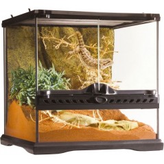 Exo Terrarium (arrière-plan inclus) 30x30x30cm - Exo Terra à 108,75 € - Exo Terra - 33/PT2600 - Terrariophilie