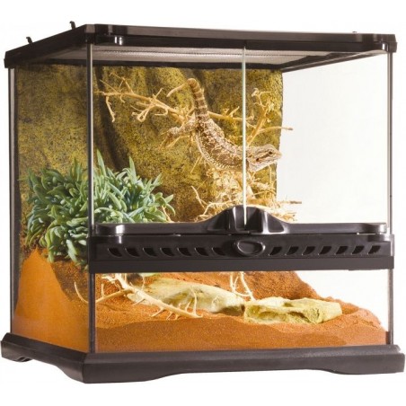 Exo Terrarium (arrière-plan inclus) 30x30x30cm - Exo Terra à 108,75 € - Exo Terra - 33/PT2600 - Terrariophilie