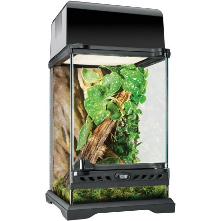 Exo Terrarium (arrière-plan inclus) 20x20x30cm - Exo Terra à 91,45 € - Exo Terra - 33/PT2601 - Terrariophilie