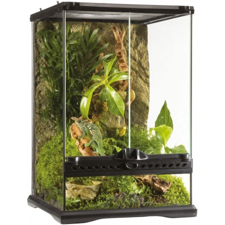 Exo Terrarium (arrière-plan inclus) 30x30x45cm - Exo Terra à 140,00 € - Exo Terra - 33/PT2602 - Terrariophilie