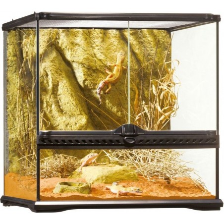 Exo Terrarium (arrière-plan inclus) 45x45x45cm - Exo Terra à 206,95 € - Exo Terra - 33/PT2605 - Terrariophilie