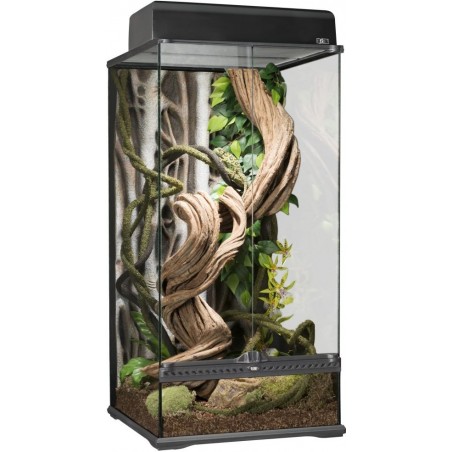 Exo Paludarium 45x45x90cm - Exo Terra à 310,00 € - Exo Terra - 33/PT2606 - Terrariophilie