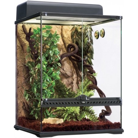 Exo Habitat Kit équipé climat tropical humide M - Exo Terra à 339,00 € - Exo Terra - 33/PT2662 - Terrariophilie