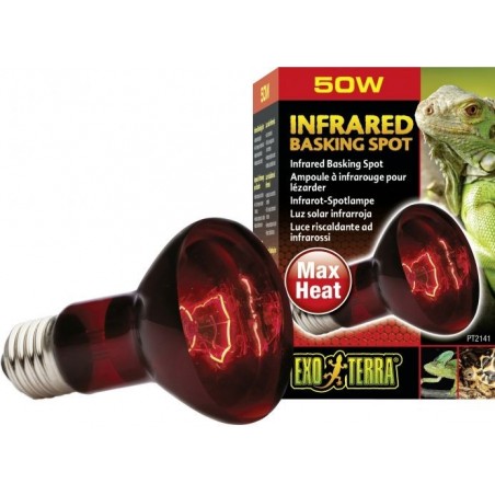 Exo Lampe Infrared Basking Spot 50w - Exo Terra à 11,45 € - Exo Terra - 33/PT2141 - Spots: eclairages de jour et de nuit