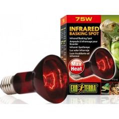 Exo Lampe Infrared Basking Spot 75w - Exo Terra à 11,45 € - Exo Terra - 33/PT2142 - Spots: eclairages de jour et de nuit