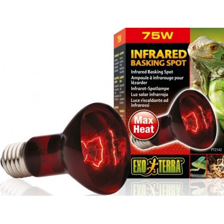 Exo Lampe Infrared Basking Spot 75w - Exo Terra à 11,45 € - Exo Terra - 33/PT2142 - Spots: eclairages de jour et de nuit