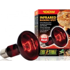Exo Lampe Infrared Basking Spot 100w - Exo Terra à 12,95 € - Exo Terra - 33/PT2144 - Spots: eclairages de jour et de nuit