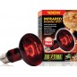 Exo Lampe Infrared Basking Spot 100w - Exo Terra 33/PT2144 Exo Terra 12,84 € Ornibird