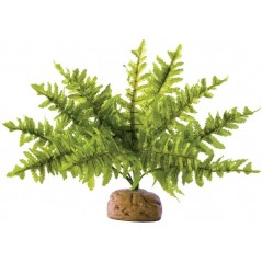 Exo Fougère de Boston S - Exo Terra à 21,95 € - Exo Terra - 33/PT2990 - Plantes artificielles