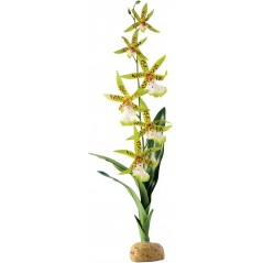 Exo Orchidée - Exo Terra à 24,95 € - Exo Terra - 33/PT2991 - Plantes artificielles