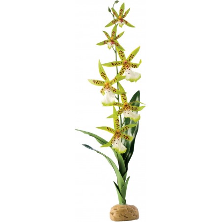 Exo Orchidée - Exo Terra à 24,95 € - Exo Terra - 33/PT2991 - Plantes artificielles
