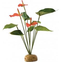 Exo Anthurium - Exo Terra 33/PT2992 Exo Terra 17,30 € Ornibird