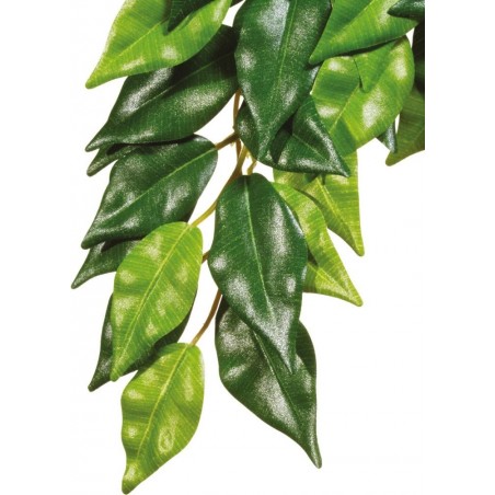 Exo Ficus S - Exo Terra à 12,45 € - Exo Terra - 33/PT3030 - Plantes artificielles