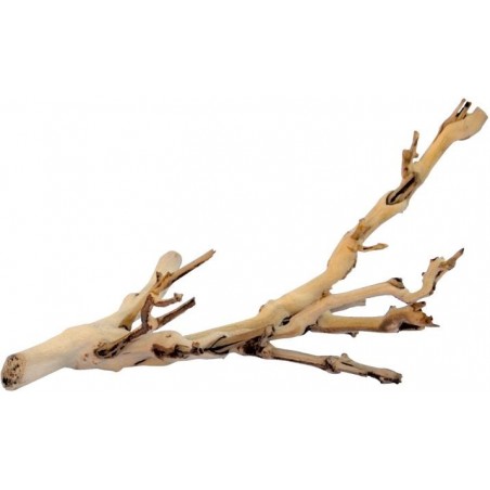 Exo Pied de Vigne Sablé S-30cm - Exo Terra 33/PT3075 Exo Terra 8,95 € Ornibird