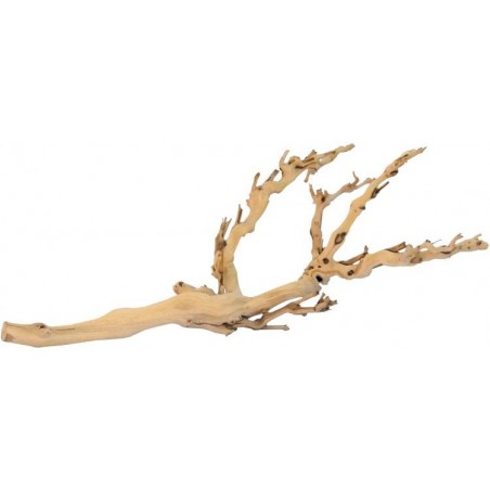 Exo Pied de Vigne Sablé M-45cm - Exo Terra 33/PT3076 Exo Terra 14,95 € Ornibird