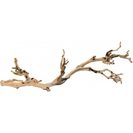 Exo Pied de Vigne Sablé L-60cm - Exo Terra 33/PT3077 Exo Terra 21,95 € Ornibird