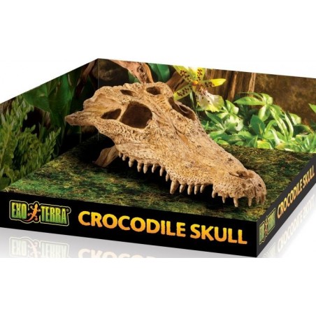 Exo Crâne Crocodile 23x12x7,5cm - Exo Terra à 17,95 € - Exo Terra - 33/PT2856 - Décoration artificielle