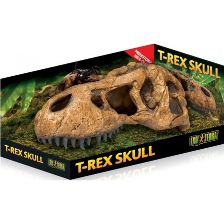 Exo Crâne T-Rex - Exo Terra