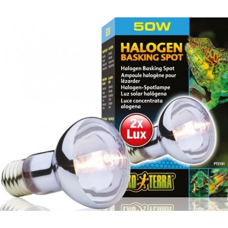 Exo Sun Glo Lampe halogène 50w - Exo Terra 33/PT2181 Exo Terra 24,15 € Ornibird