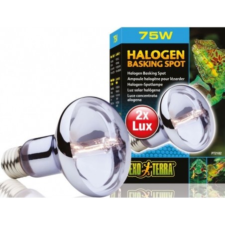 Exo Sun Glo Lampe halogène 75w - Exo Terra 33/PT2182 Exo Terra 25,65 € Ornibird