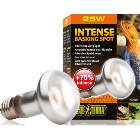 Exo Lampe Intense Basking Spot 25w - Exo Terra 33/PT2196 Exo Terra 8,25 € Ornibird