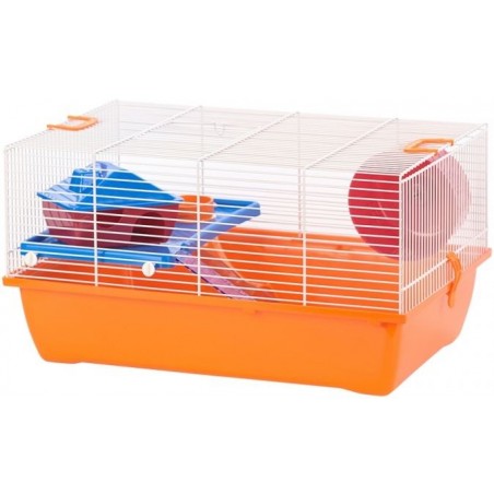 Cage Ibiza Diego 1 Orange 50x33x27cm - Duvo+ à 65,95 € - Duvo + - 11695 - Cages d'intérieur