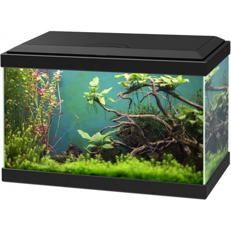 Aqua 20 Classic Noir 40x20x24,8cm - Ciano à 60,50 € - Ciano - 77540133 - Bocal pour poisson